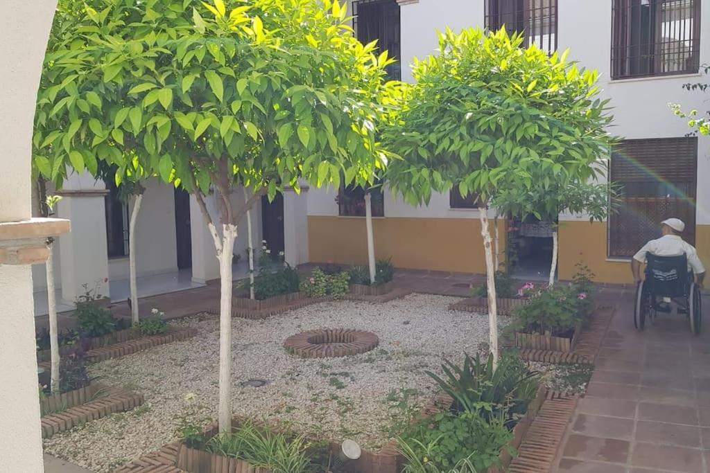 Precioso Apartamento Junto A Plaza La Corredera Córdoba Kültér fotó